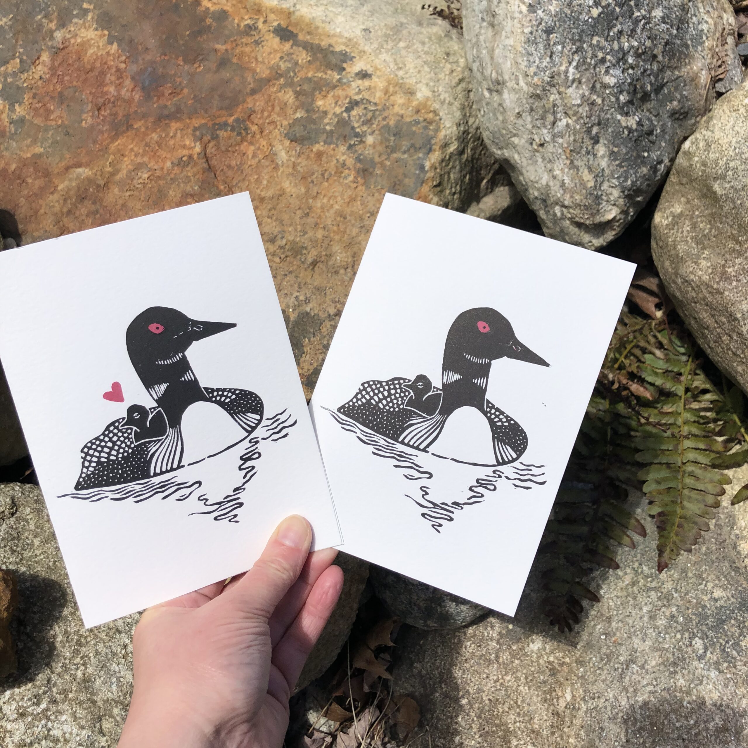 Two white cards, each printed with a black-and-white common loon and chick. The chick rides on its parent’s back. The card on the left also has a small red heart above the chick. Both cards show the adult loon with a red eye.