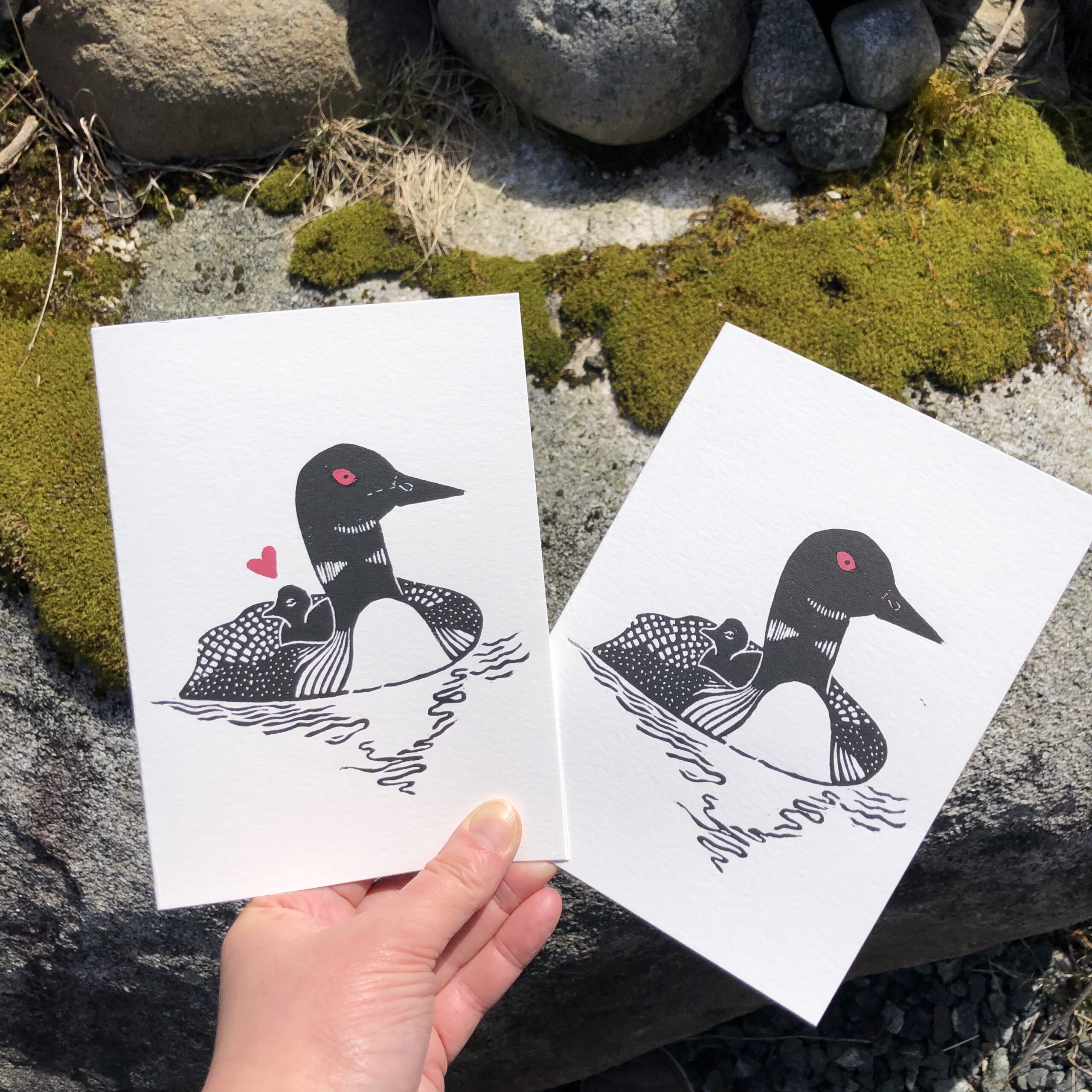 Two white cards, each printed with a black-and-white common loon and chick. The chick rides on its parent’s back. The card on the left also has a small red heart above the chick. Both cards show the adult loon with a red eye.